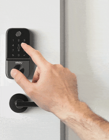 ASL-Cubo1-K(D)-V2-IMOU